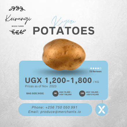 Potato Price Range Instagram Post (1)